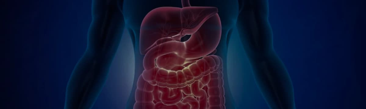 Gastroenterology