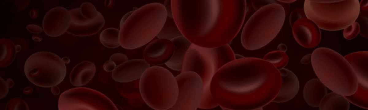 Oncology